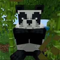 felii (@arg_feli) 's Twitter Profile Photo