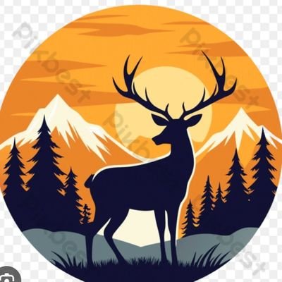 TvAri78643's profile picture. 