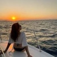 Tealso (@tealso8450723) 's Twitter Profile