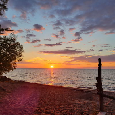 h569625's profile picture. Georgia Bulldogs and SF 49ers fan. Just here for sports and cute puppy stuff. Happily taken old lady. Georgia born and raised, now in Cali.