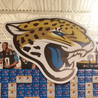 OfficerJaguars's profile picture. I love the Jacksonville Jaguars. You can't hurt me more than this organization has.