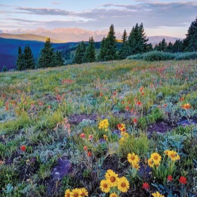 pigeonsetfree's profile picture. Love writing, literature, coding & nature. Self awareness & development advocate. Software Engineer. Opinions are my own Follow @nourancodes