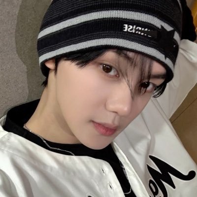 ⋆。°✩ carat, zerose and moa ⋆。°✩ i like to yap a lot ⋆。°✩ saoirse don phalaistín 🇵🇸 ⋆。°✩ @dollyjjam ♡