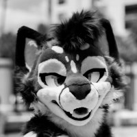 Kyte?? (@susleafclover) 's Twitter Profile