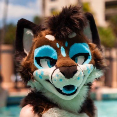 22 | he/him | furry | 🔞Suggestive🔞Minors/Prdos/Zoos DNI(means fuck off) | Suit by @sheenitude | PfP by @lytterr | Gonna try to hit up NFC and FWA next year!