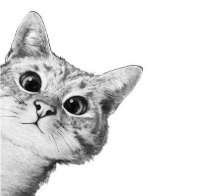FilanJohan17754's profile picture. 