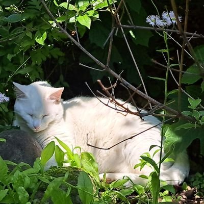 victorystrike_'s profile picture. 再登録してみた！
楽しい事には喰らいつく😤
気軽に絡んでー🤗
コレ裏垢とかサブ垢じゃなくて本垢なんですw
彼女いるんで変な人とは絡まないよん😝