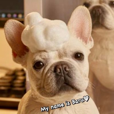 I♡ French Bulldog(🎂2020.12.25♂:バル) 🦴/music/料理/パン/ファッション/美容/筋トレ/お酒/パーティーが大好きな調理師 🍳( ᐛ) 心も身体も健康に💜💛 笑顔になる料理を目指し中ー‼︎ 色々な情報交換が出来たら嬉しいです。 フォローお気軽に*⋆⑅⃟◌˚꒰ˊૢᵕˋૢෆ꒱