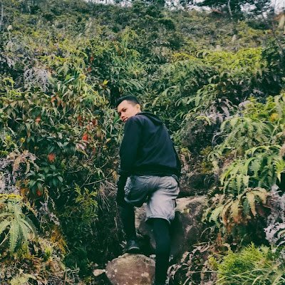 OscalBoy13102's profile picture. 