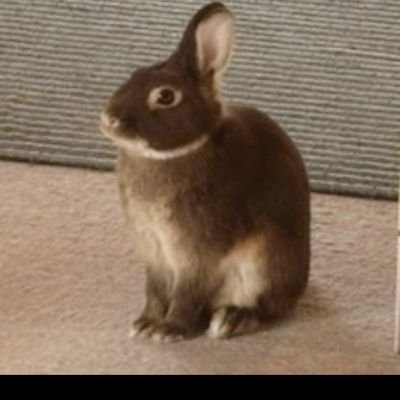 GObJfHQ6ysWdxVf's profile picture. 