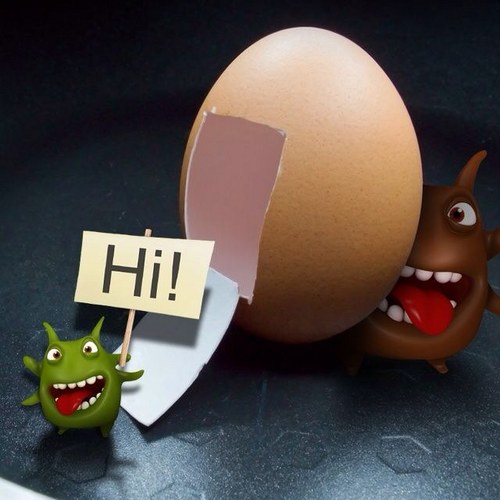 coole1954's profile picture. 