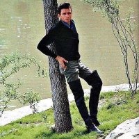 jay ~ terrificgreen phase (@flanterrific) 's Twitter Profile Photo