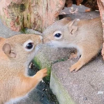 ぢゅんこさんのプロフィール画像
