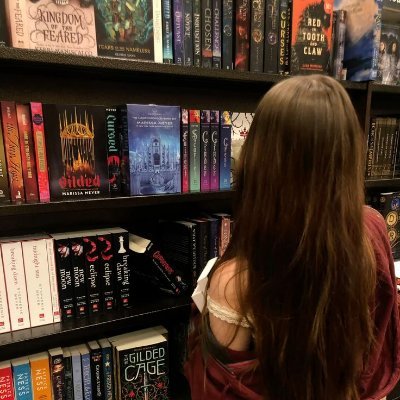 📖 living in a world where Feysand and Vioxen are real