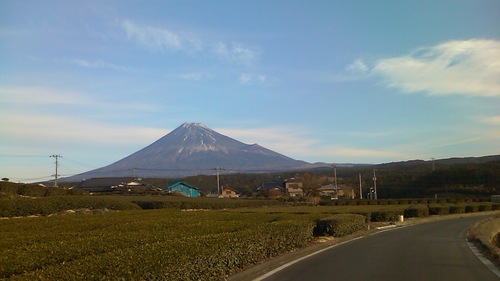 tomasu_kappaman's profile picture. 腐った人間です。