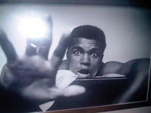 paulsamleo's profile picture. hard working & loving husband of beautiful wife & father of hilarious little boy