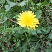 真gu-ga (@urauraurguga) 's Twitter Profile Photo