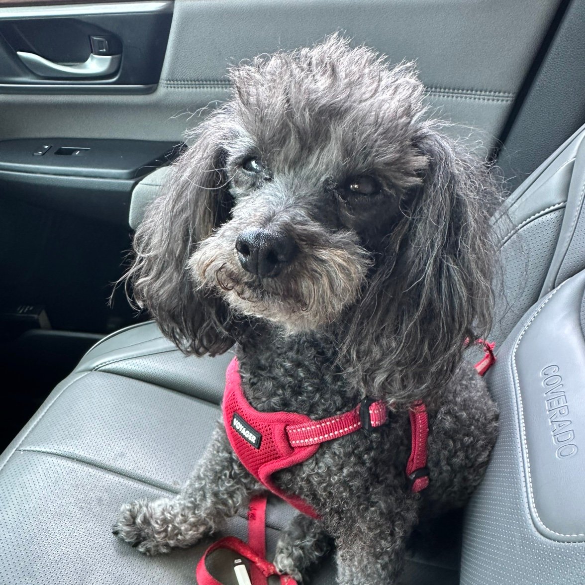 ShawnStreepy's profile picture. 