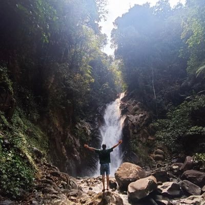 DsapWorld's profile picture. 