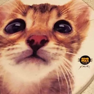 jasさんのプロフィール画像