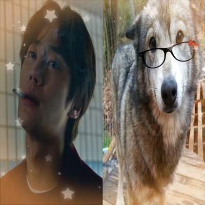 @seongotak