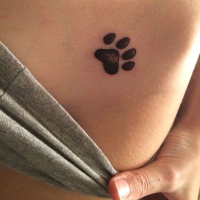 keisha_wil26012's profile picture. Blending loyal strength with playful charm, this is elegance with an edge. Check the link in my bio 🔥🐾