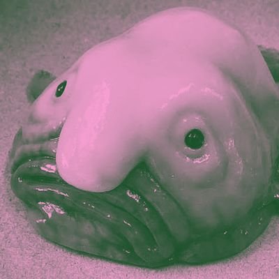 ⠀
                              ݁  𓈒  𓇼 ⠀ ᱸ
 
⠀