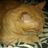 JordiHumbert's profile image