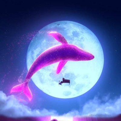 77_NC_77's profile picture. 