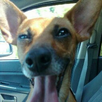 Studentdriver76's profile picture. 