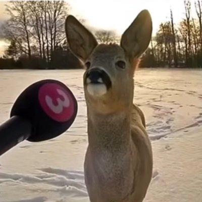 zay__fr's profile picture. 