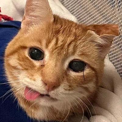 Raun_cho's profile picture. ACR Poker: https://t.co/LXQzC3B9JH
Phenom Poker: https://t.co/wArkeTxLMV