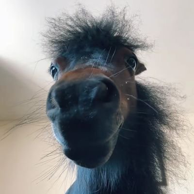 realpowehawk's profile picture. 18 ★ College Physics Freshman ★
Genderfluid ♥︎ any pronouns ♥︎ Horseboy/girl/them ◆ MDNI ◆ DMs open (be freaky, im always horny)