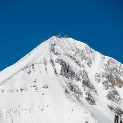 aaronthedev_'s profile picture. Web developer solving problems with code | Learning & building in public | Next.js + React | Sharing the journey from zero to first dollar 💻