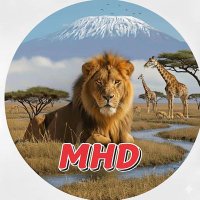 Mtui, HD (@mtui_hosea) 's Twitter Profile