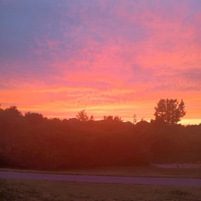 ballbag4148's profile picture. 