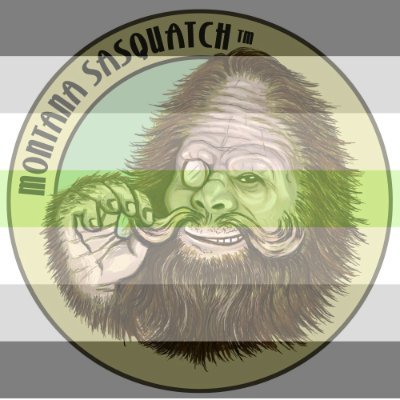 Public Health Social Worker|Extremism Prevention|Epidemiology|Agender|Heathen|Libertarian Socialist|Metal|TTRPGs|Polyamory|Kink|Preparedness|Firearms #2A|#mtpol