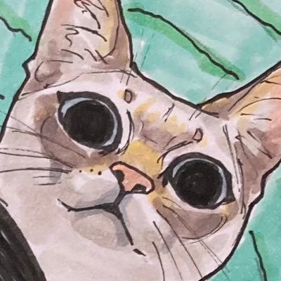 juuuku24304's profile picture. 十九人を見ます！🔰🔰
