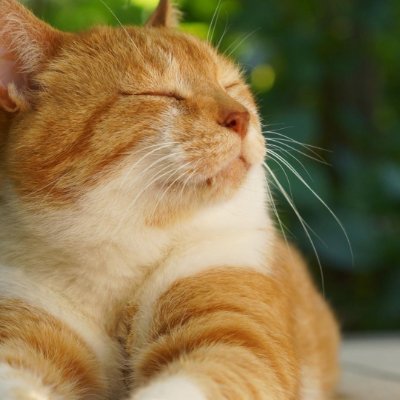 nakua358's profile picture. 