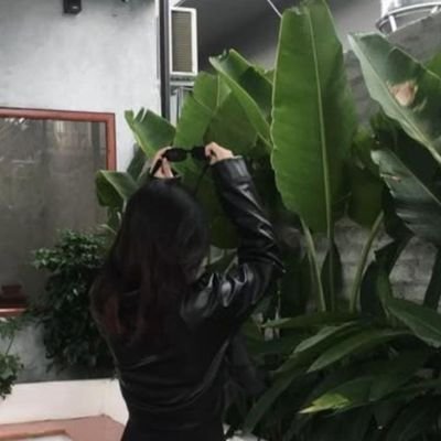 PalakSingh51's profile picture. AITR'26