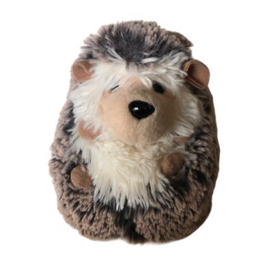 kiwitravel_go's profile picture. こんにちは、きういトラベルです🥝🦔！ 旅行先で撮影した美しい景色や、現地ならではの体験をシェアしています。📷🌟 国内外さまざまな観光地の魅力をたっぷりお届けしていくので、みなさんが旅行気分を味わったり、次の旅の参考になったら嬉しいです。✈️🫶