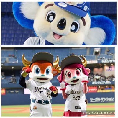 バファローズ&ドラゴンズ!!ドアラさん🐨ベルちゃん&ブルくん🐮❤️お気軽に絡んでください(^^)無差別無言フォローお許しを!バファローズ#4#13#24ドラゴンズ#7#1994
