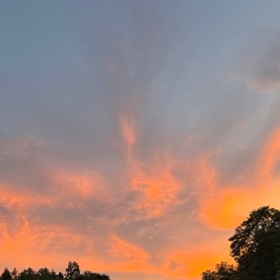 ShuCream_810's profile picture. 