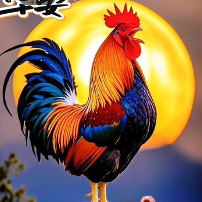 spadina57's profile picture. 