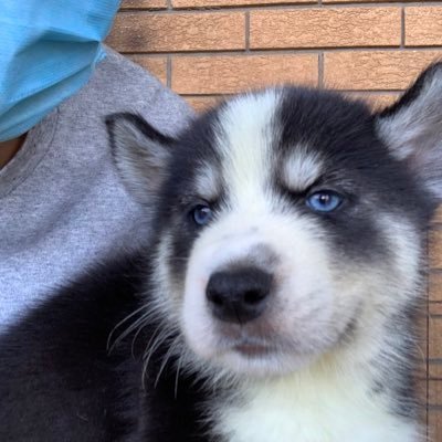 abetrani97327's profile picture. 