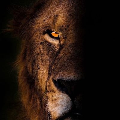 maxmax8088's profile picture. 