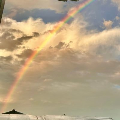 Sanflly's profile picture. 自分に挑戦することが好きで、旅行と登山は私をどんどん超越させ、スポーツは絶え間ない活力をもたらします。🏅🗺️