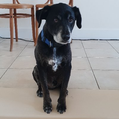 Buddy2da's profile picture. 