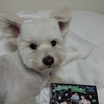 feelthepop9 Profile Picture