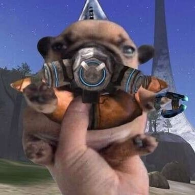 JocularSolid's profile picture. 